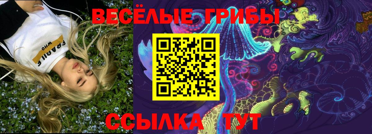 Псилоцибиновые грибы ЛСД Новозыбков