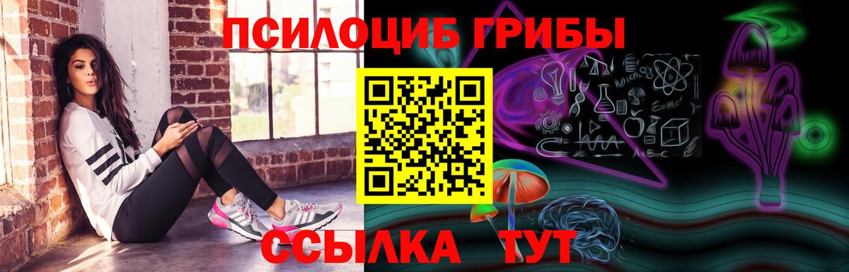 Новозыбков  Галлюциногенные грибы ЛСД  Вход с VPN 